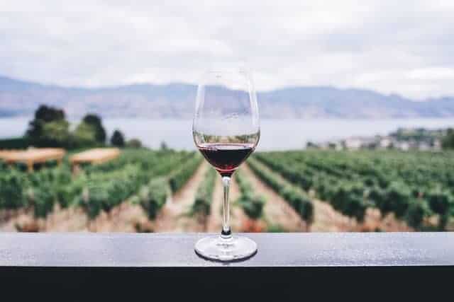 I Migliori Negozi per Comprare Vino Online
