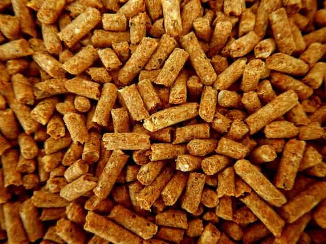 Pellet siti online migliori