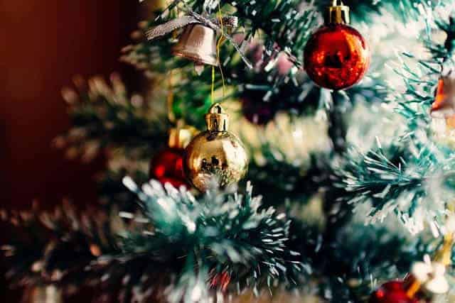 I Migliori Siti per Acquistare Alberi di Natale