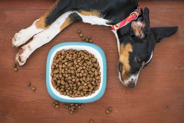 Siti Per Comprare Alimenti Animali Online