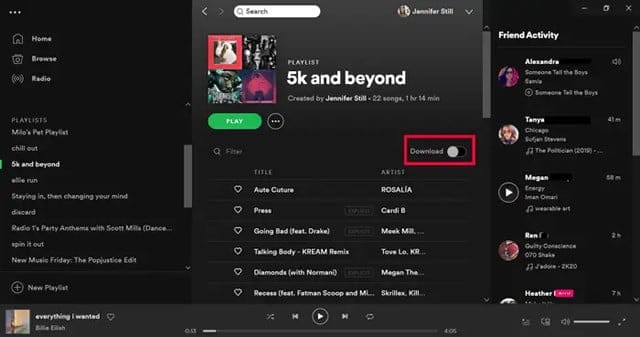 Playlist Spotify