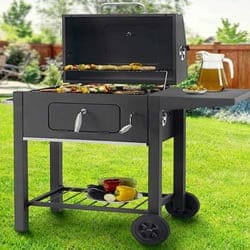 barbecue a carbonella o carbone