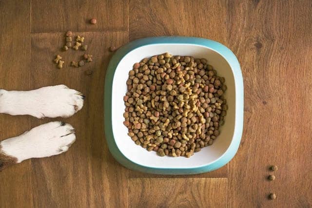 I Migliori Siti per Acquistare Crocchette per Cani.