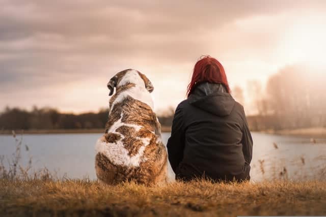 I Migliori Siti Dog Sitter