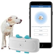 4G Collare GPS per Cani Gatti 4G Collare GPS per Cani Gatti