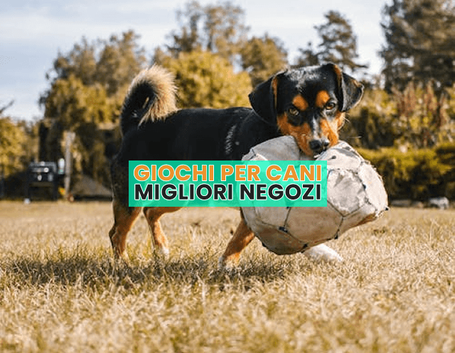 GIOCHI PER CANI
