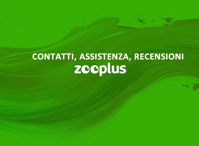 Contatti Zooplus