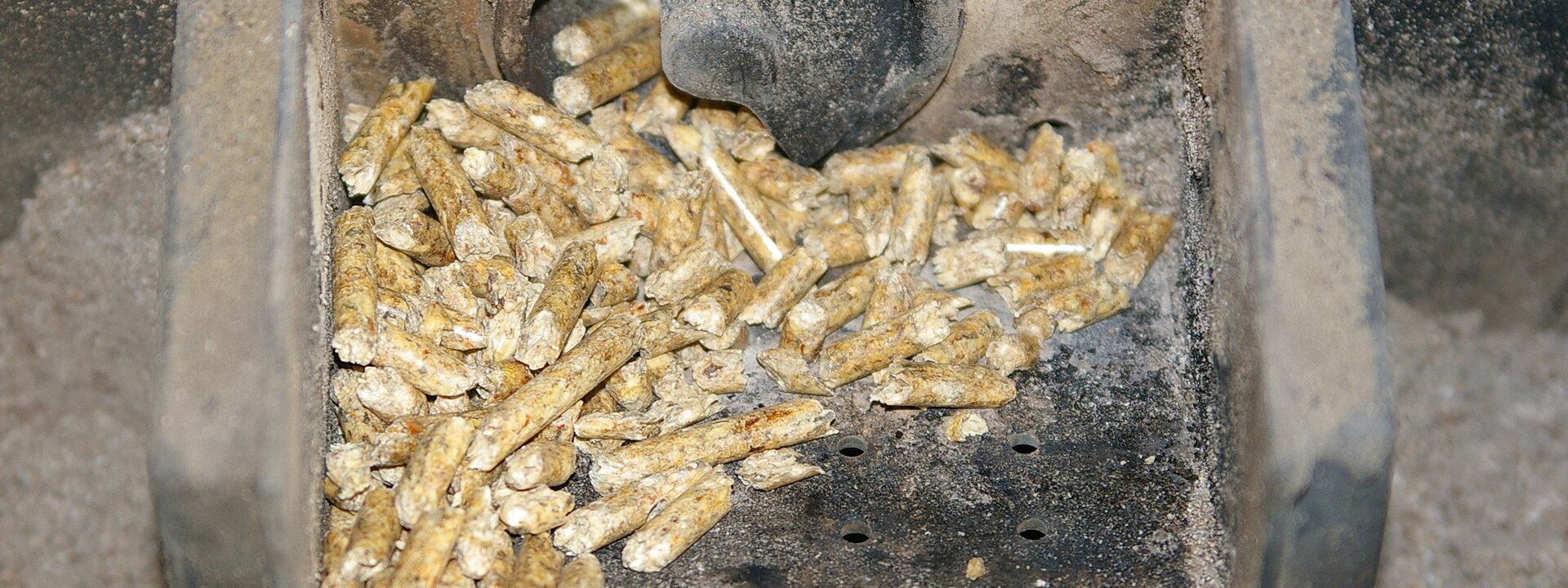 Braciere di una stufa a pellet con il pellet e la cenere da pulire