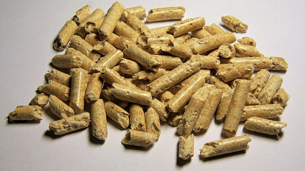 Mucchio di pellet di legno chiaro su fondo bianco