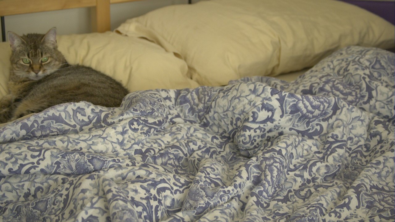 Letto matrimoniale con piumone invernale a fantasia blu e un gatto sul cuscino