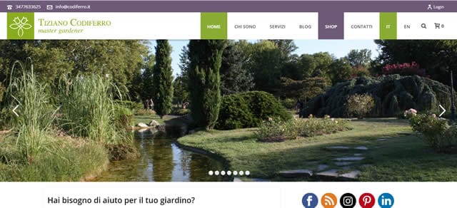 Codiferro  I Migliori Negozi di Fiori e Piante Online