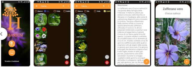 Herbarium  Herbarium - Erbario offline