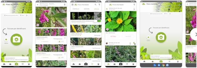 PlantNet Plant Identification PlantNet Plant Identification