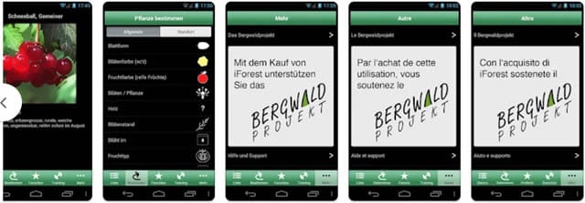 iforest iForest – Alberi e arbusti