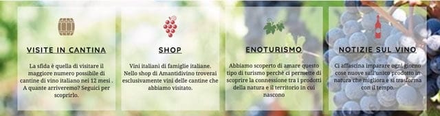 Visite in Cantina Visite in Cantina Amanti di Vino Ecco il Sito Ideale