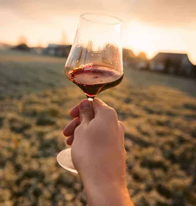 Amanti di Vino Ecco il Sito Ideale