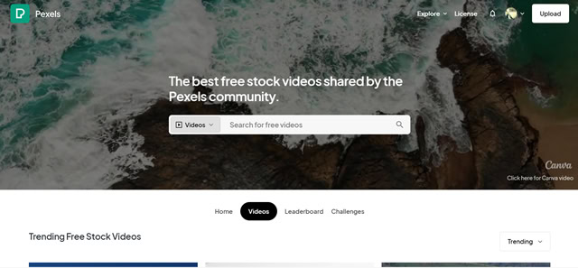 Pexels Video Pixels