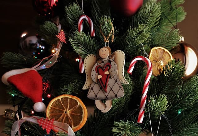 I 5 Alberi Di Natale Più Acquistati