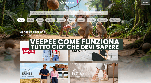 vEEPEE COME FUNZIONA.fw