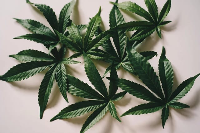 Cannabis e benefici