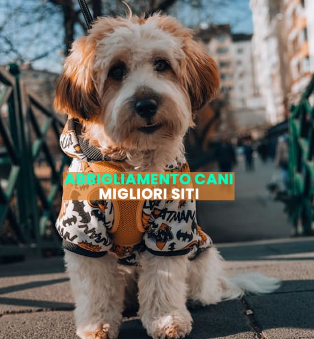 abbigliamento per cani