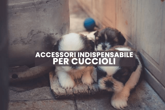accessori cuccioli