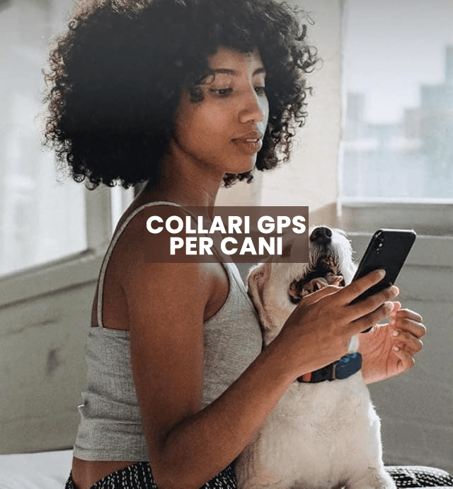 collari per cani