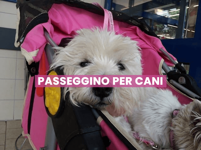 passeggino per cani