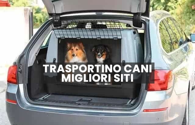 trasportino per cani