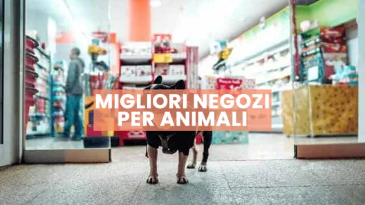 negozio per animali