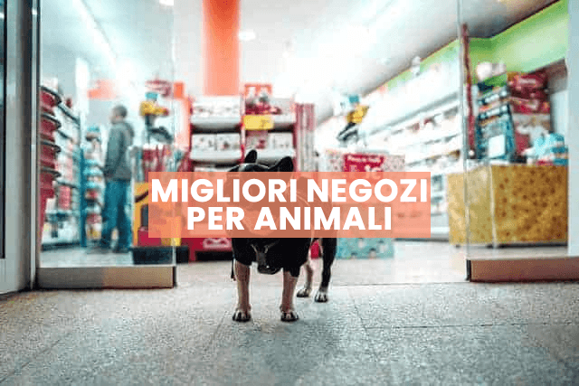 negozio per animali