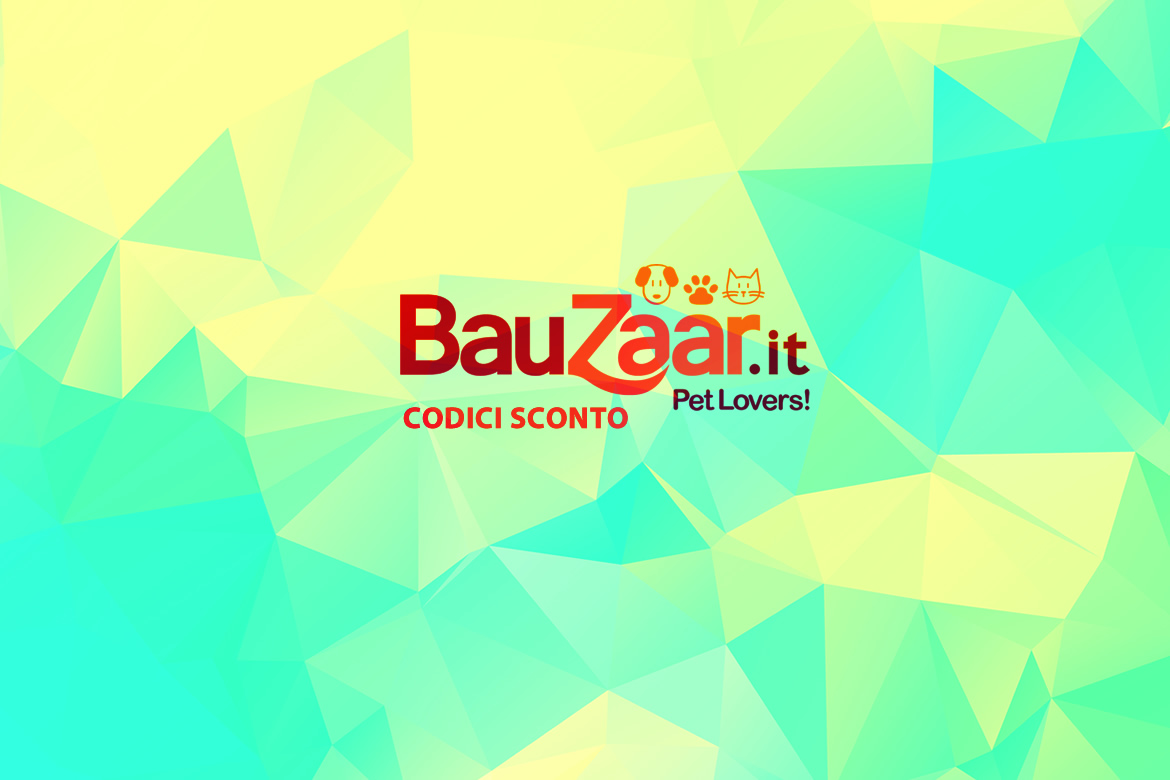 Bauzaar codici sconto