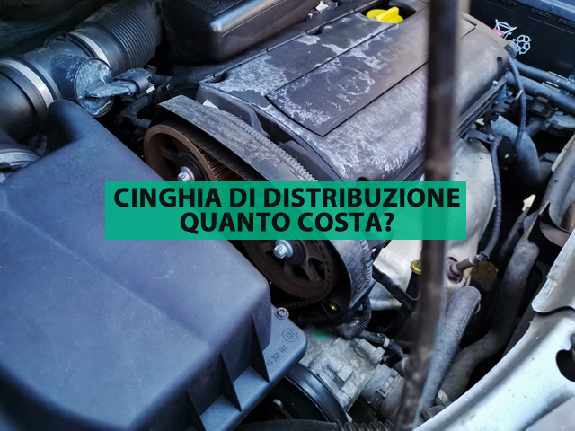 cinghia di distribuzione
