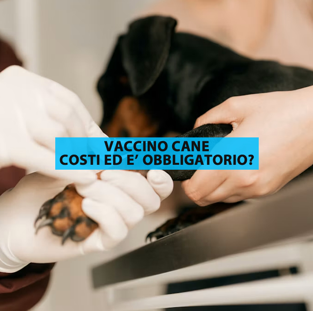 vaccino cane