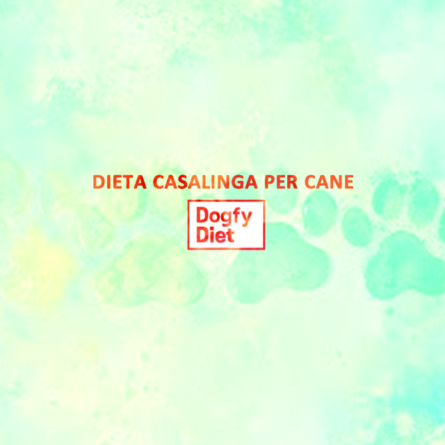 dieta casalinga cane