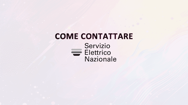 servizio elettrico nazionale